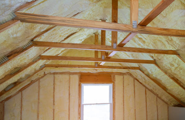 Best DIY Insulation Kits and Guidance in Inesville, GA
