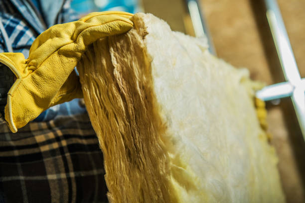 Best Insulation Maintenance and Repair in Inesville, GA