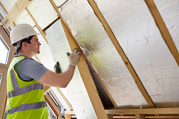 Best Eco-Friendly Insulation in Inesville, GA