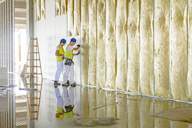 Best Fiberglass Insulation in Inesville, GA